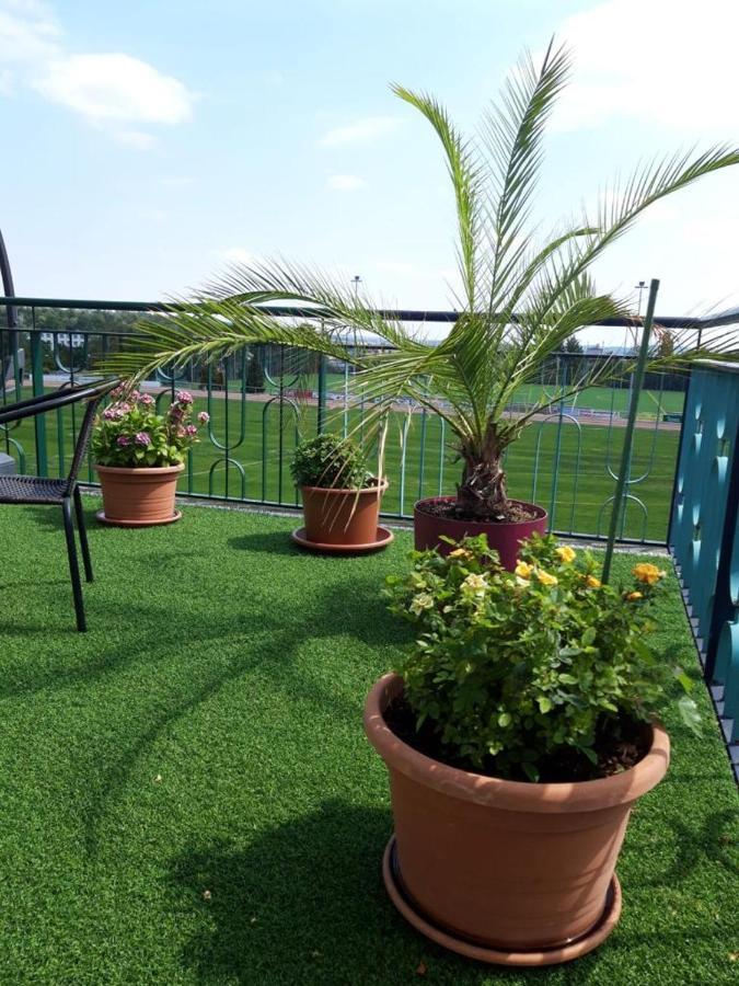 Hotel Zum Sportforum 블랑켄부르크 외부 사진